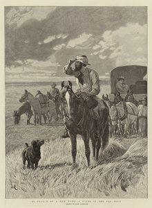 På leting etter et nytt hjem, en scene i Far West
